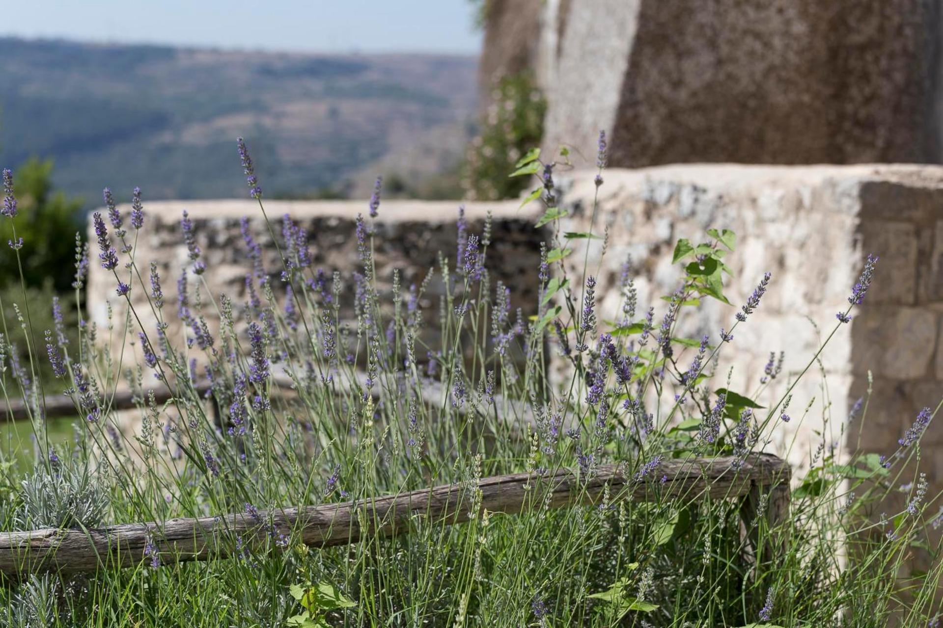 Antico Convento Dei Cappuccini Hotell Ragusa Exteriör bild